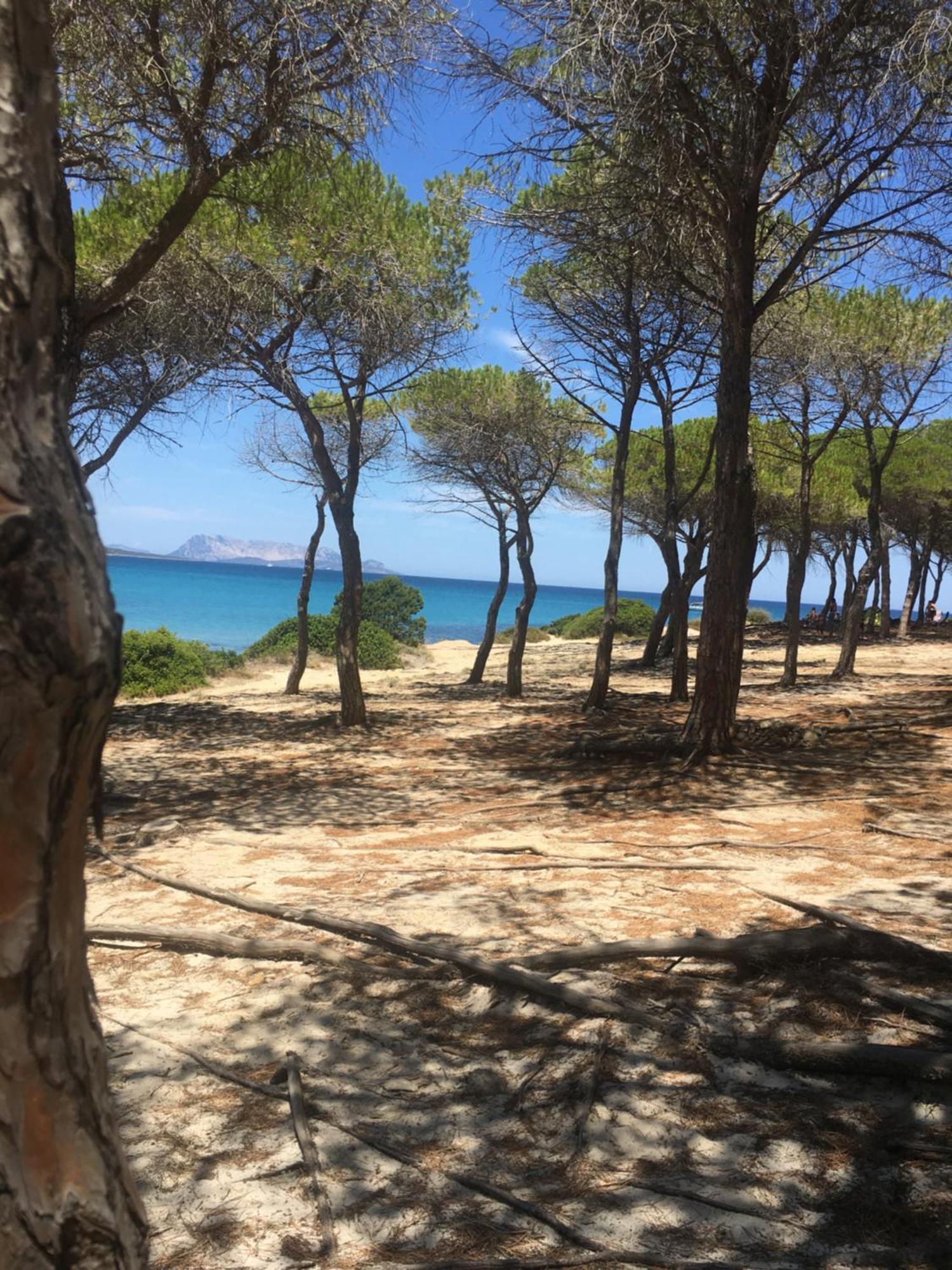 Villa Nadia Con Piscina Privata Budoni Tanaunella Dış mekan fotoğraf